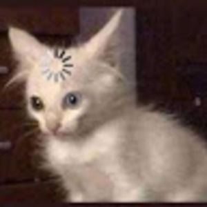 Meet your Posher, Aliah